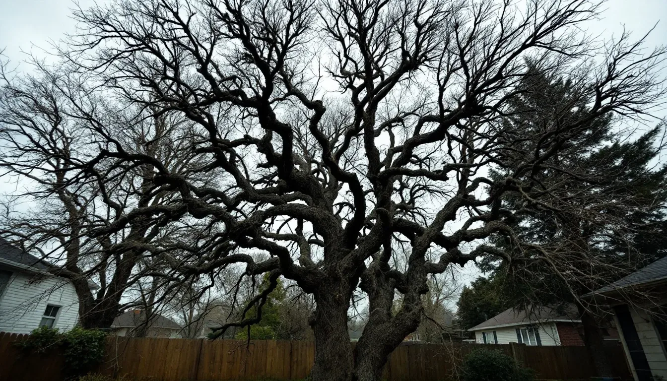 Maple Tree Trimming in Rochester